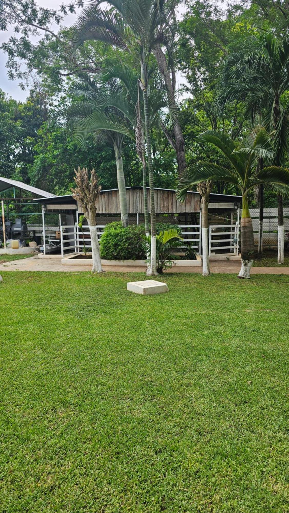 Los Cedros Uayamón מראה חיצוני תמונה
