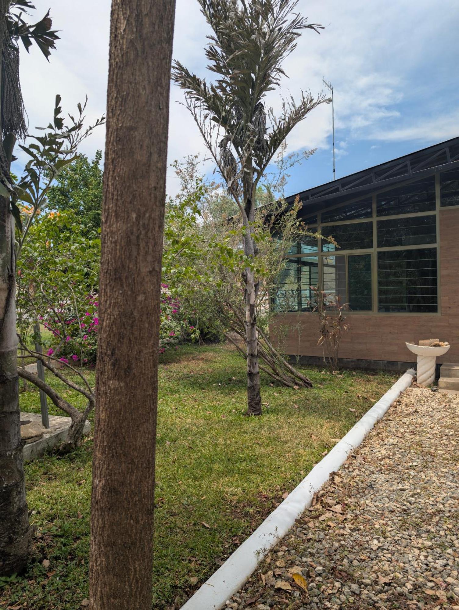 Los Cedros Uayamón מראה חיצוני תמונה
